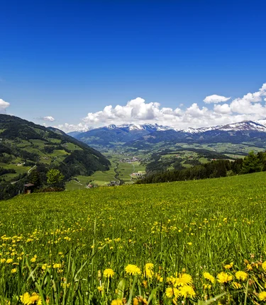 © TV Murau | Tom Lamm