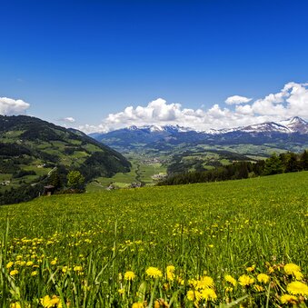 © TV Murau | Tom Lamm