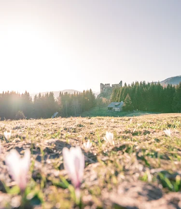 © Rene Hochegger | TVB Murau