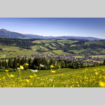 St. Peter am Kammersberg Blumenwiese | © Holzwelt Murau | Tom Lamm