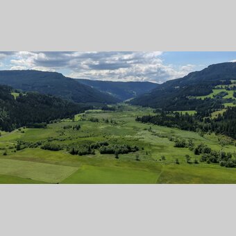 Hörfeld Moor | © Holzwelt Murau | Tom Lamm