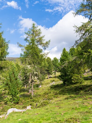 Highlander Austria Murau 2020-08-27 | © mag.maria wawrzyniak | mag.maria wawrzyniak