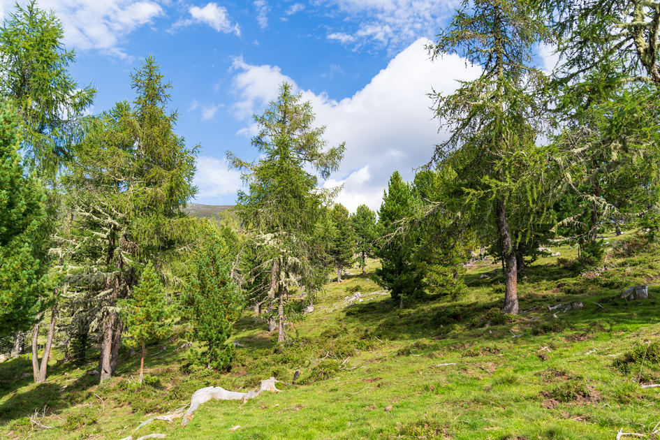Highlander Austria Murau 2020-08-27 | © mag.maria wawrzyniak | mag.maria wawrzyniak