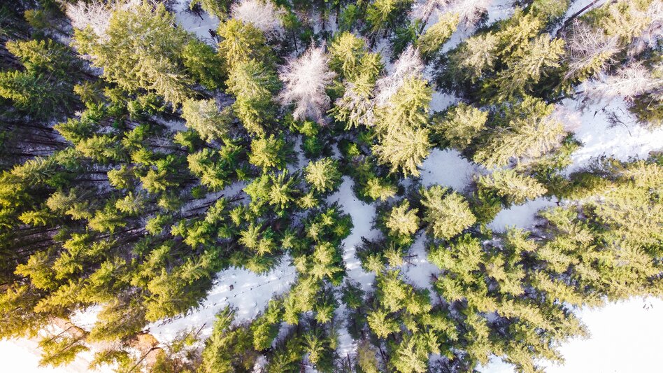 © TV Murau | René Hochegger