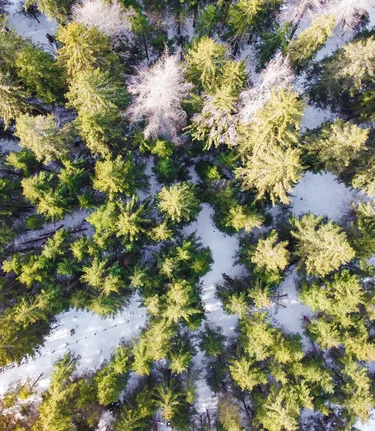 © TV Murau | René Hochegger