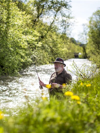 © ikarus.cc | Tom Lamm