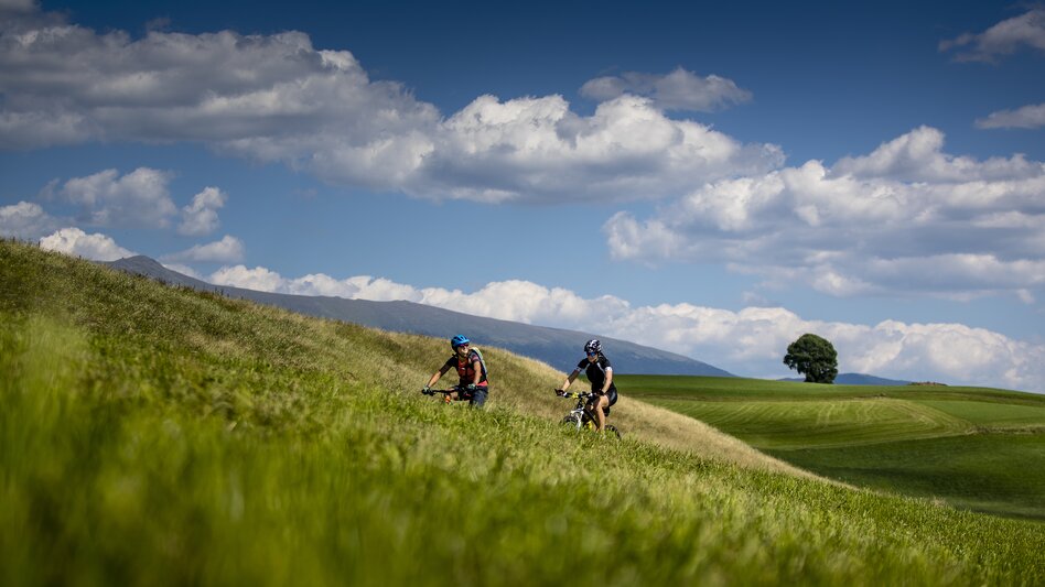 © Holzwelt Murau | Tom Lamm