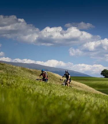 Radfahren Zeutschach | © Holzwelt Murau | Tom Lamm