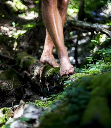 Waldbaden barfuß | © STG | Tom Lamm