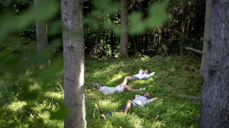 Waldbaden liegen | © STG |  Tom Lamm