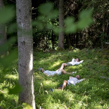 © Steiermark Tourismus |  Tom Lamm