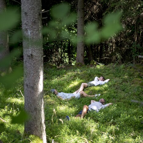 Waldbaden liegen | © STG |  Tom Lamm