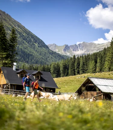 © Tom Lamm | ikarus.cc | Tom Lamm