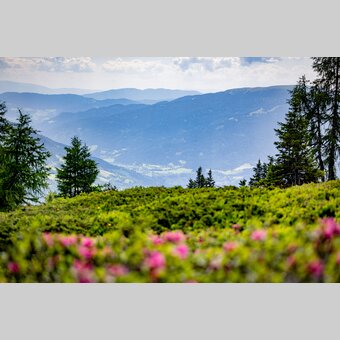 Ausblick vom Gstoder | © TV Murau | Andreas Siebenhofer