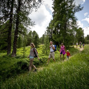 Familienwanderung Kreischberg | © Holzwelt Murau |  Tom Lamm