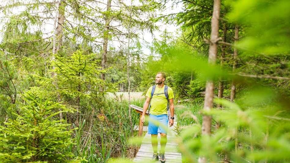 Wanderung Dürnberger Moor | © TV Murau | Mediadome