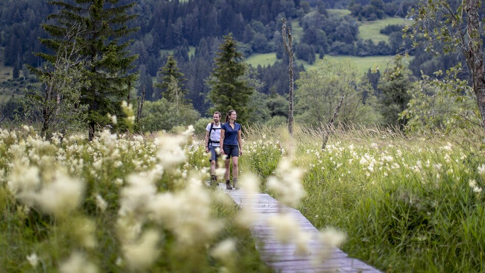 © Holzwelt Murau | Tom Lamm