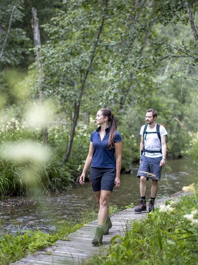 Hörfeld Moor Bach | © Holzwelt Mura |  Tom Lamm