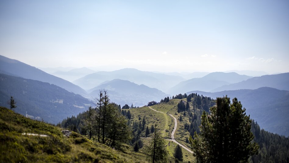 © Tom Lamm | ikarus.cc | Tom Lamm