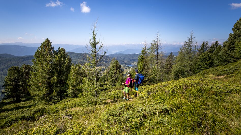 Krakau - Impression #2.7