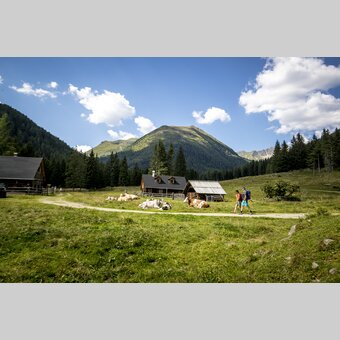 ^Wandern in der Krakau | © Holzwelt Murau | Tom Lamm