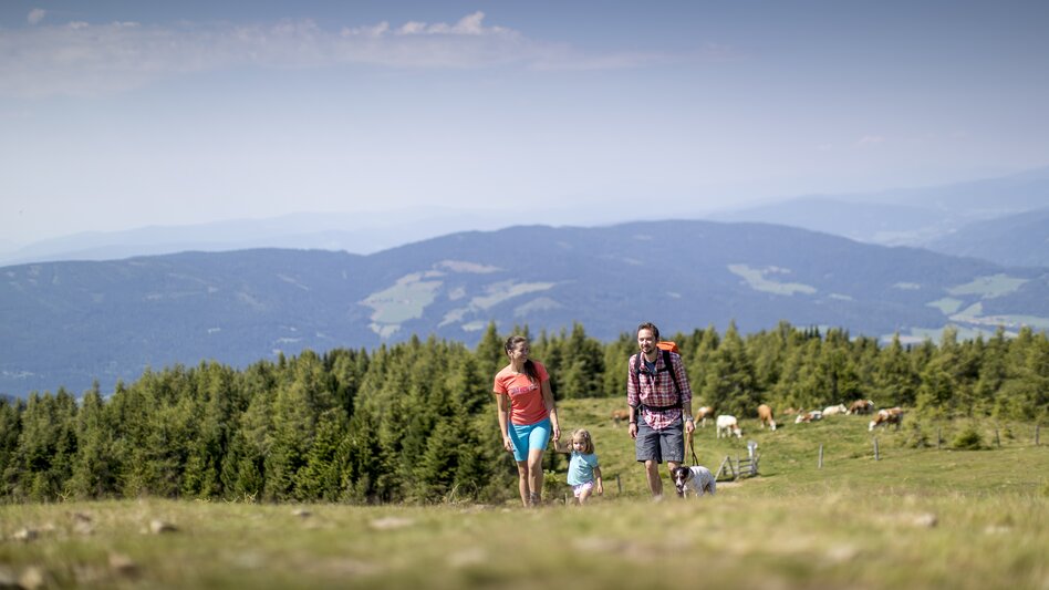 © Holzwelt Murau |  Tom Lamm