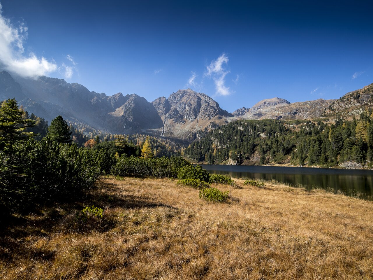 © Tom Lamm | ikarus.cc | Tom Lamm