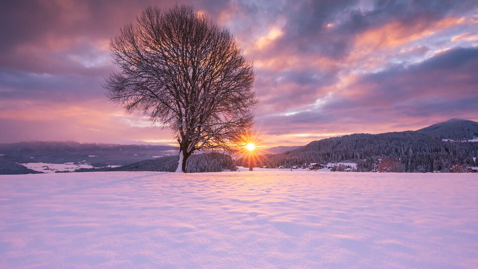 Winter in Zeutschach | © Region Murau | René Hochegger