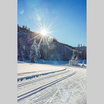 Langlaufloipe | © TV Murau | Andreas Siebenhofer