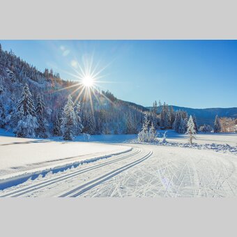 Langlaufloipe | © TV Murau | Andreas Siebenhofer