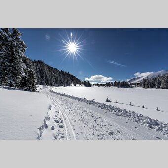 Langlaufen Turracher höhe | © Holzwelt Murau | Tom Lamm