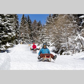 Abfahrt BERGaufRODELN Zirbitzkogel | © Holzwelt Murau | Tom Lamm