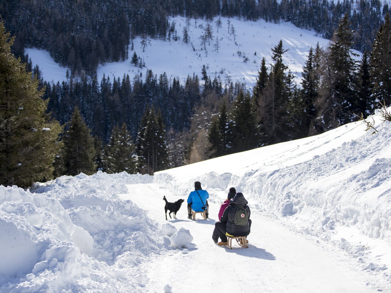 © Holzwelt Murau | Tom Lamm