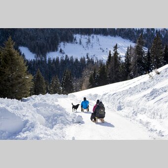 Rodeln Lachtal | © Holzwelt Murau | Tom Lamm