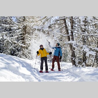 Schneeschuhwandern | © TV Murau | Tom Lamm
