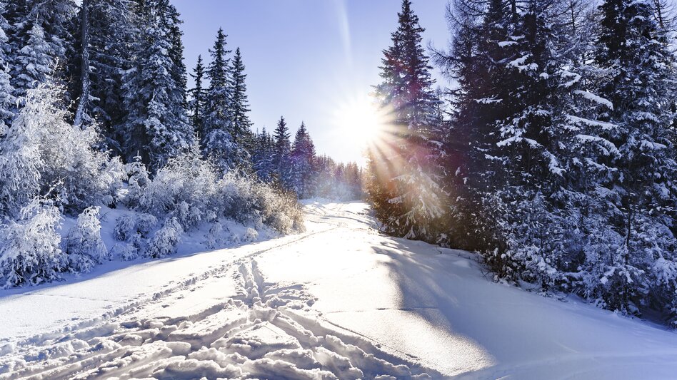 © TV Murau | Mediadome