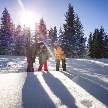 © TV Murau | Mediadome