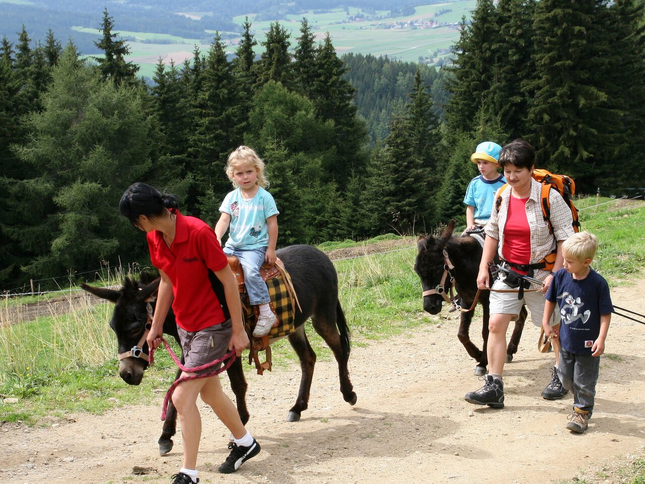 Eselwanderung auf der Tonnerhütte | © Tonnerhütte
