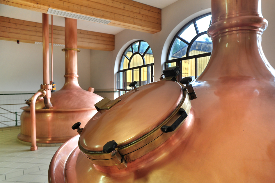 © TVB Region Murau |  Ikarus.cc