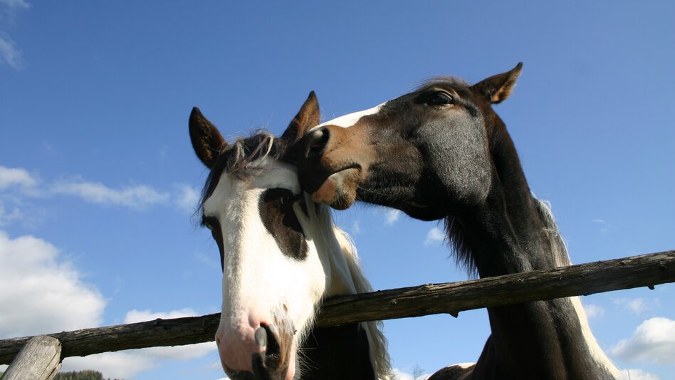 Schöder - Impression #2.3