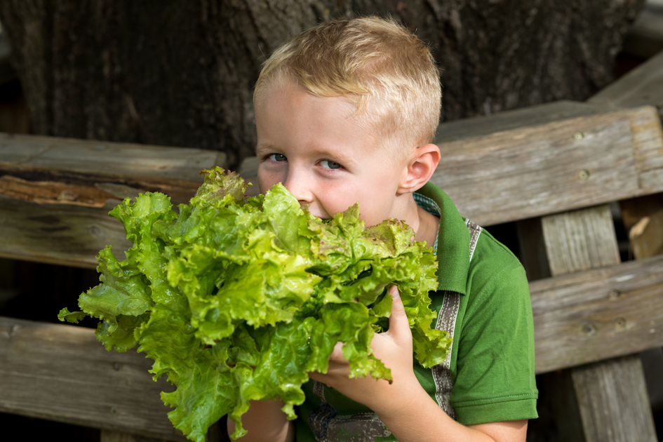Genussbauernhof Hillebrand | © TV Region Graz | Harry Schiffer