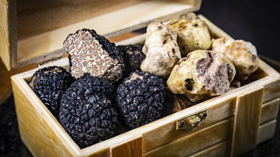 Trüffel | © Graz Tourismus | Werner Krug