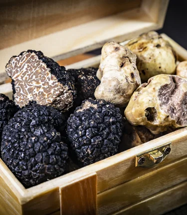 Trüffel | © Graz Tourismus | Werner Krug