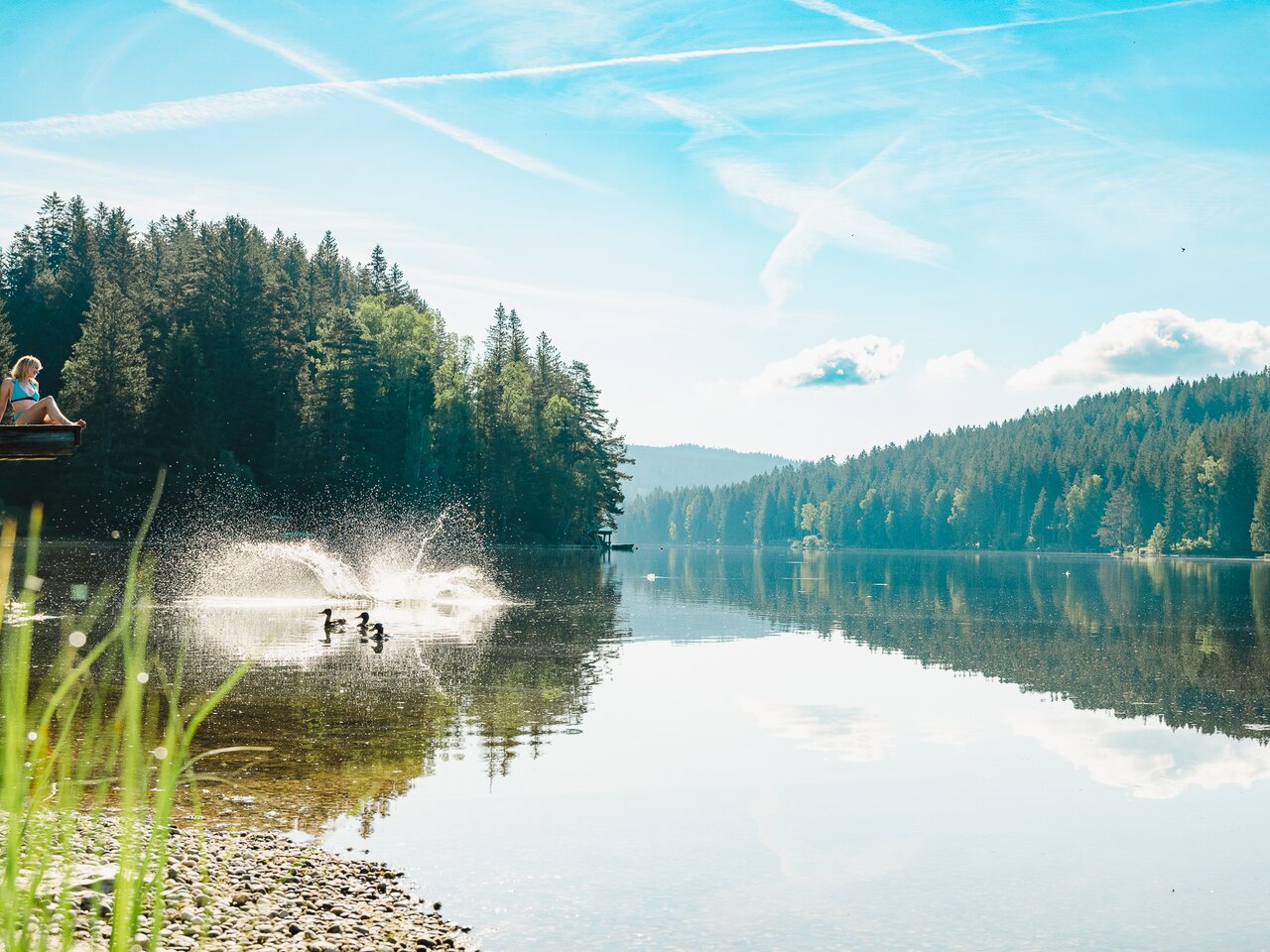 © MICHAELA PFLEGER | MIAS PHOTOART    _MICHAELA PFLEGERR