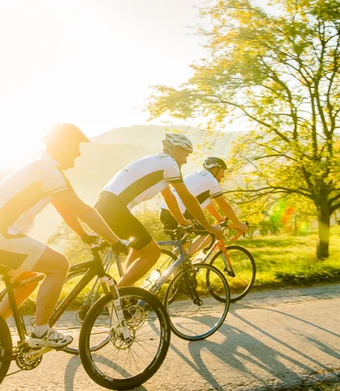 Biking in Autumn | © TV Erlebnisregion Graz | Mias Photoart