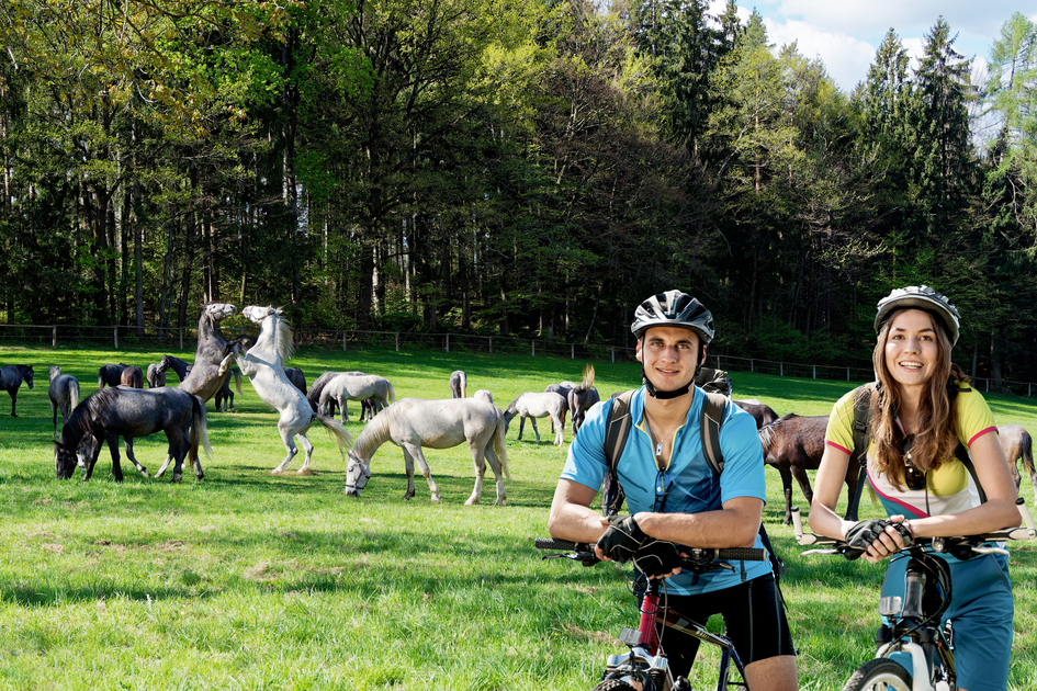 Biking | © H.P.Wakonigg | Kreativ Praxis