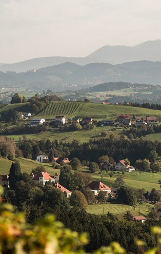 © 9 | MICHAELA PFLEGER