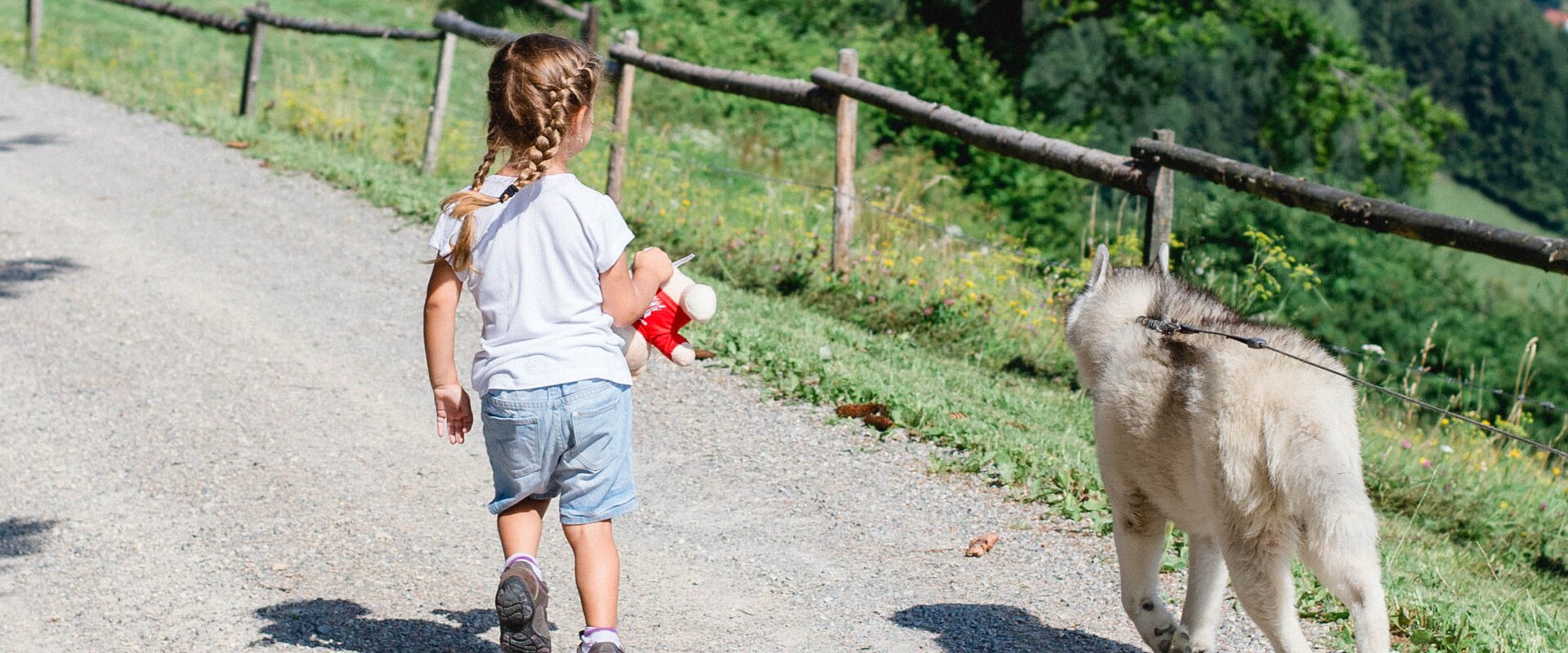 Hiking with a dog | © TV Erlebnisregion Graz | Mias Photoart