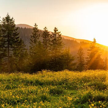 Morgenstimmung am Salzstiegl | © Region Graz | Mias Photoart