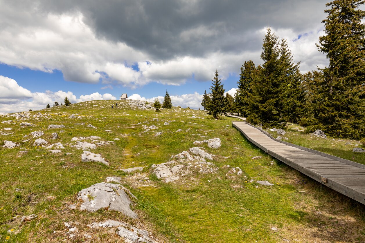 Barrierefrei wandern am Schöckl | © TV Region Graz | Harry Schiffer | Region Graz